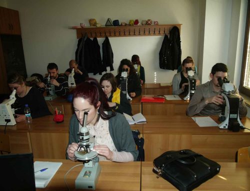 Report: Basic Course on Archaeological Soil Micromorphology